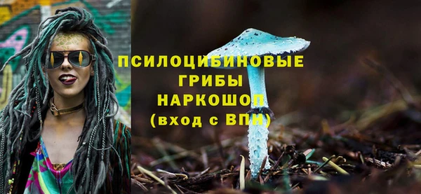 apvp Новокубанск