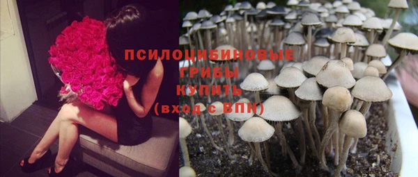 бутират Новодвинск