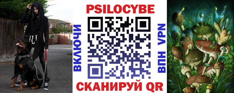 Псилоцибиновые грибы Psilocybe  гидра tor  Сычёвка 